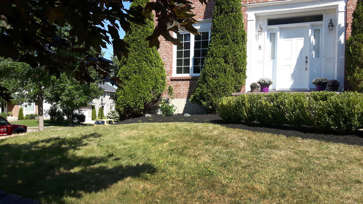 Golf Club Road planting and bedding by Yards Apart Landscape & Design: photo 1