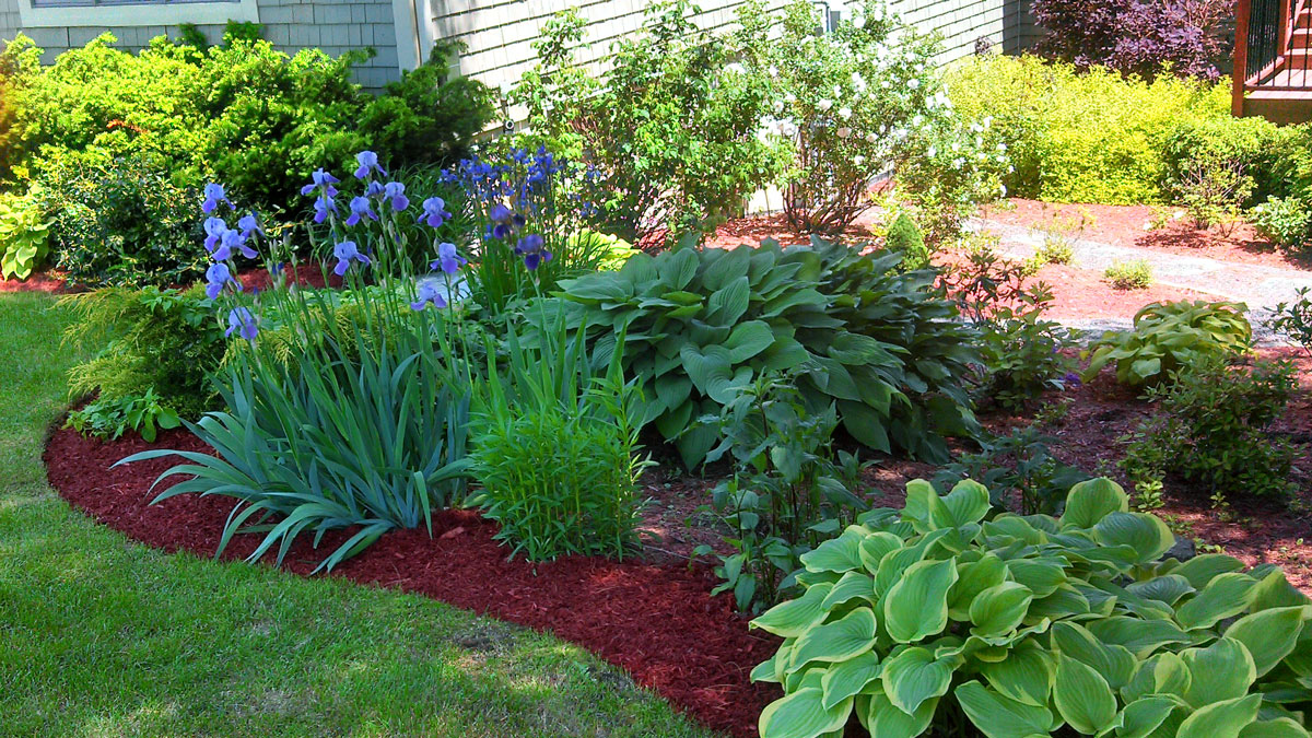 Yards Apart Landscape & Design, Fredericton